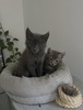 Woody et Kaï
