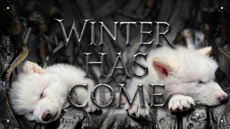 Colossal, loup géant, games of throne