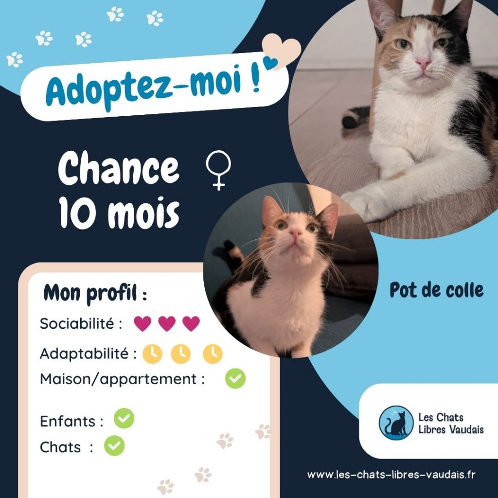 Adopter Chance