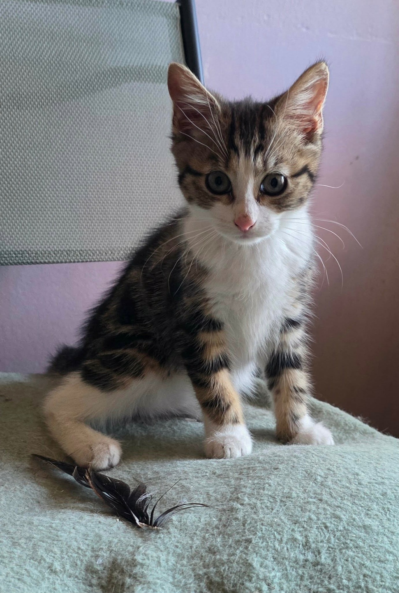Adopter La Joconde