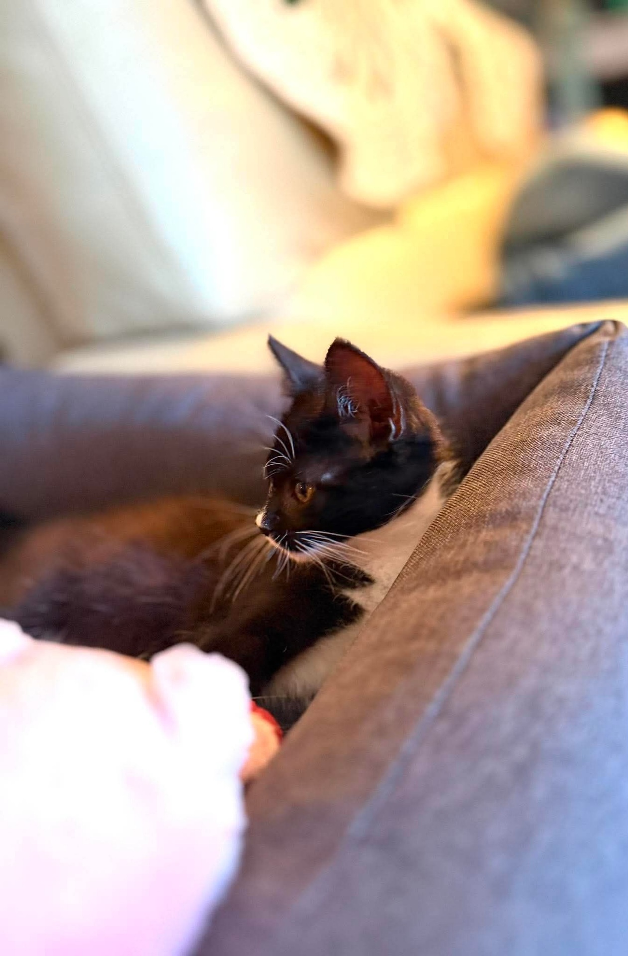 Adoption Betty
