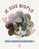 BigFlo