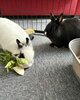 Marco et paula