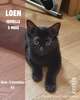 Loen