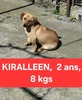 KIRALLEEN