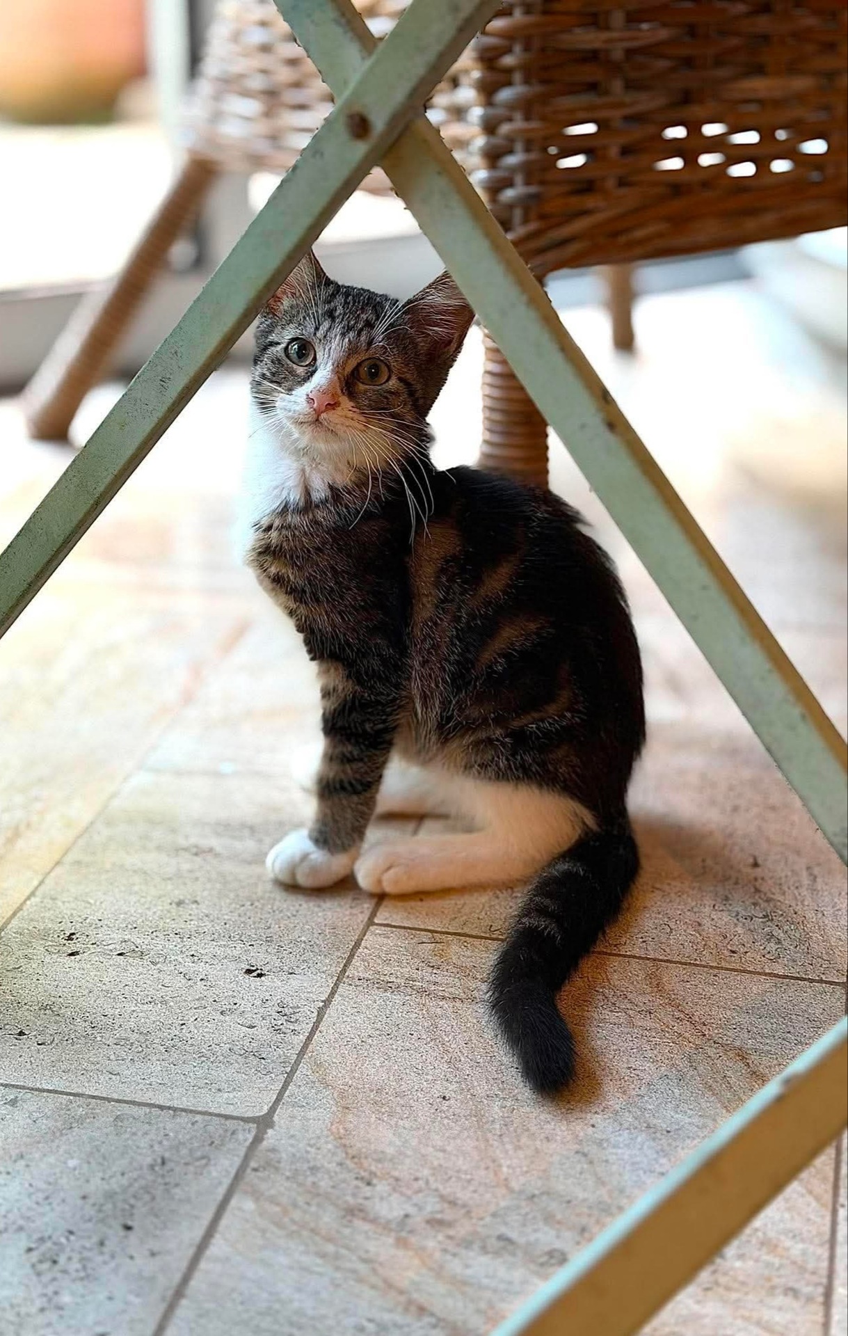 Adoption Isack