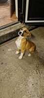 Adopter : Tipo