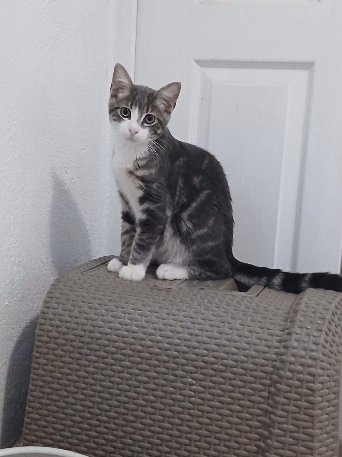 Adopter BONNIE et CLYDE