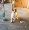 BETTY