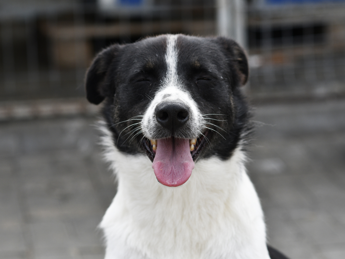 Adopter Hope