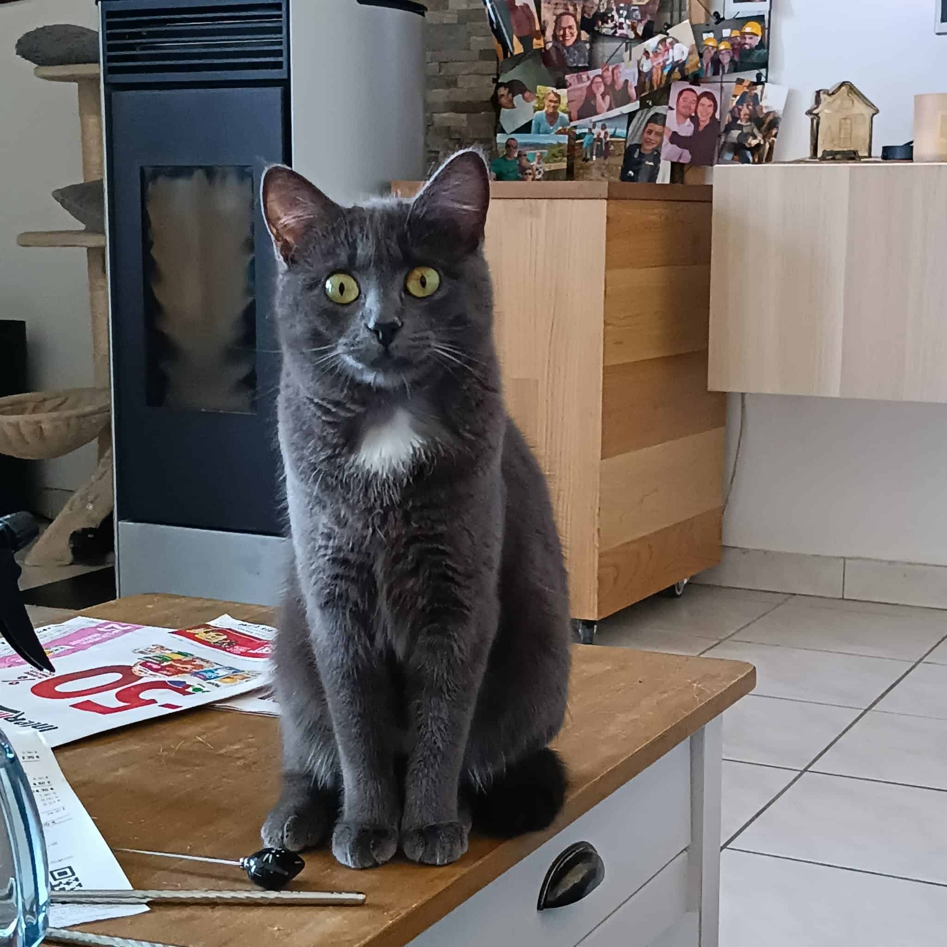 Adopter Baltik