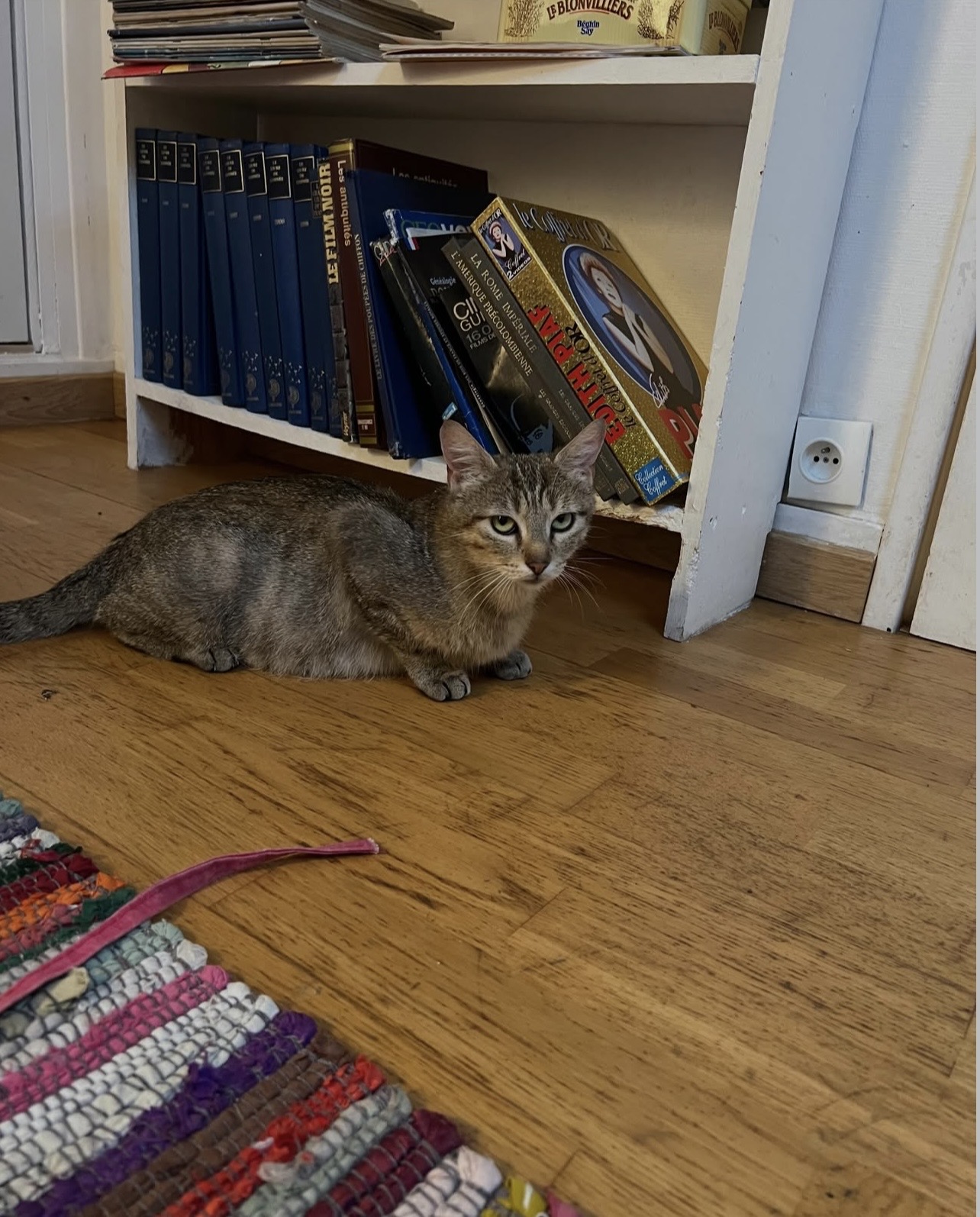 Adopter Olivia