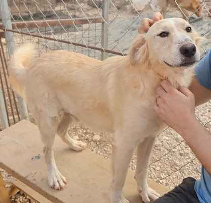 Adopter Léo