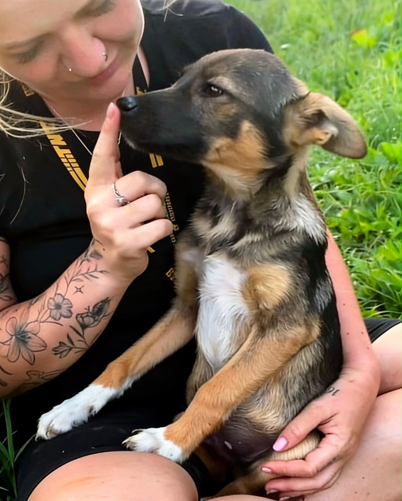 Adopter BRIO