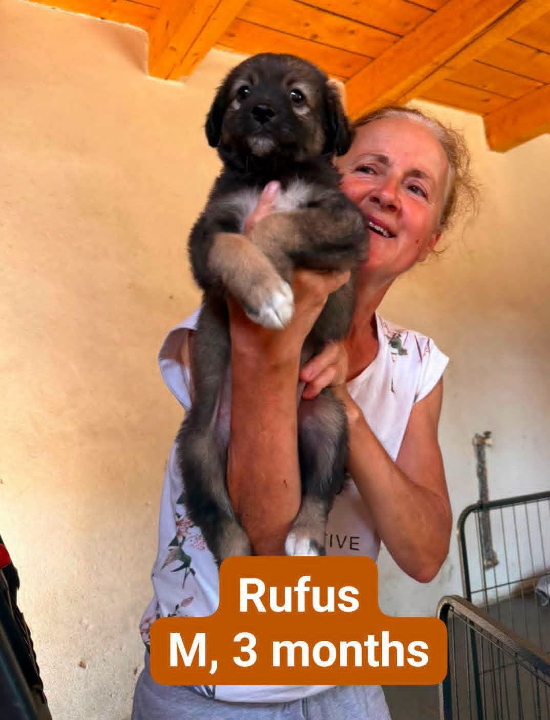 Adopter RUFUS