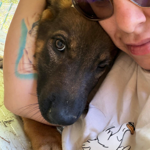 Adopter OLI