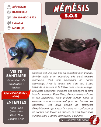 Adopter Némésis