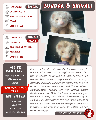 Adopter Shivali