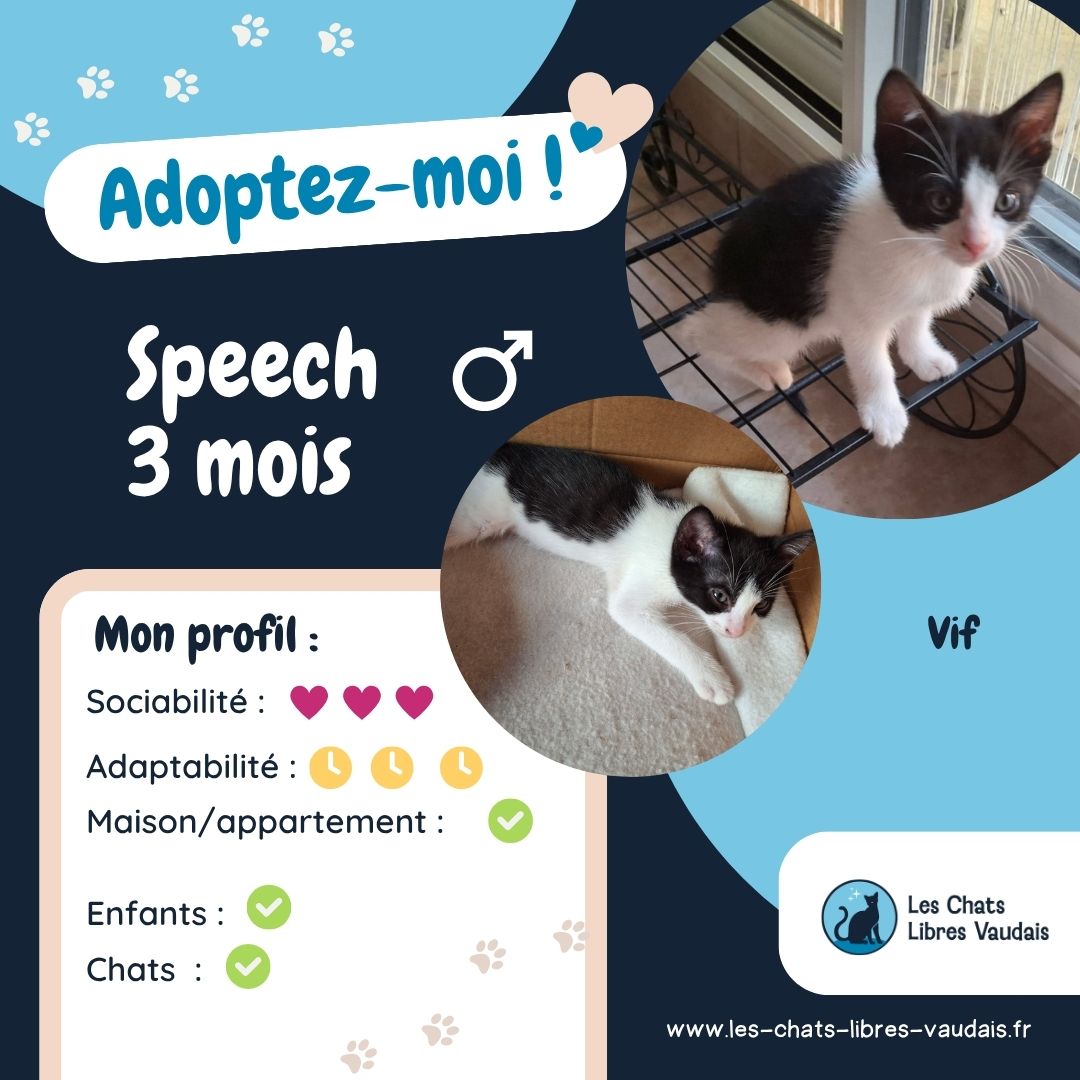 Adopter Speech