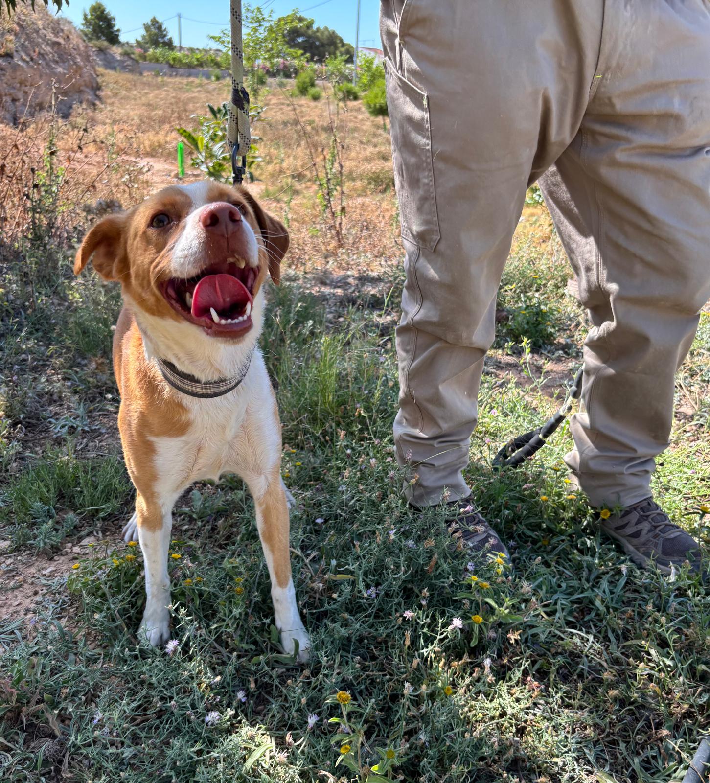 Adoption MUÑECO