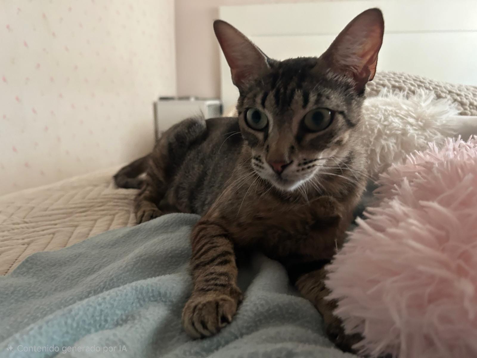 Adoption PEGGY