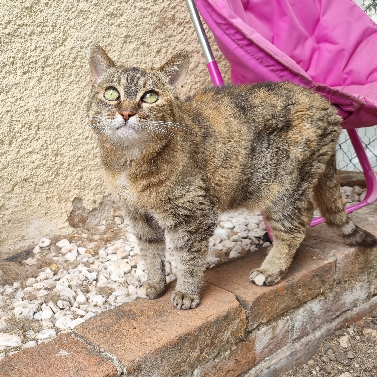 Adoption BILYTIS