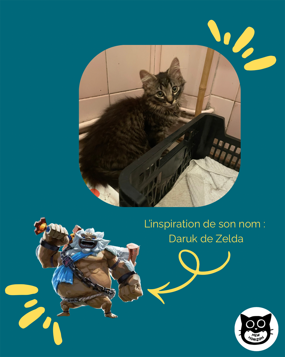 Adoption Daruk