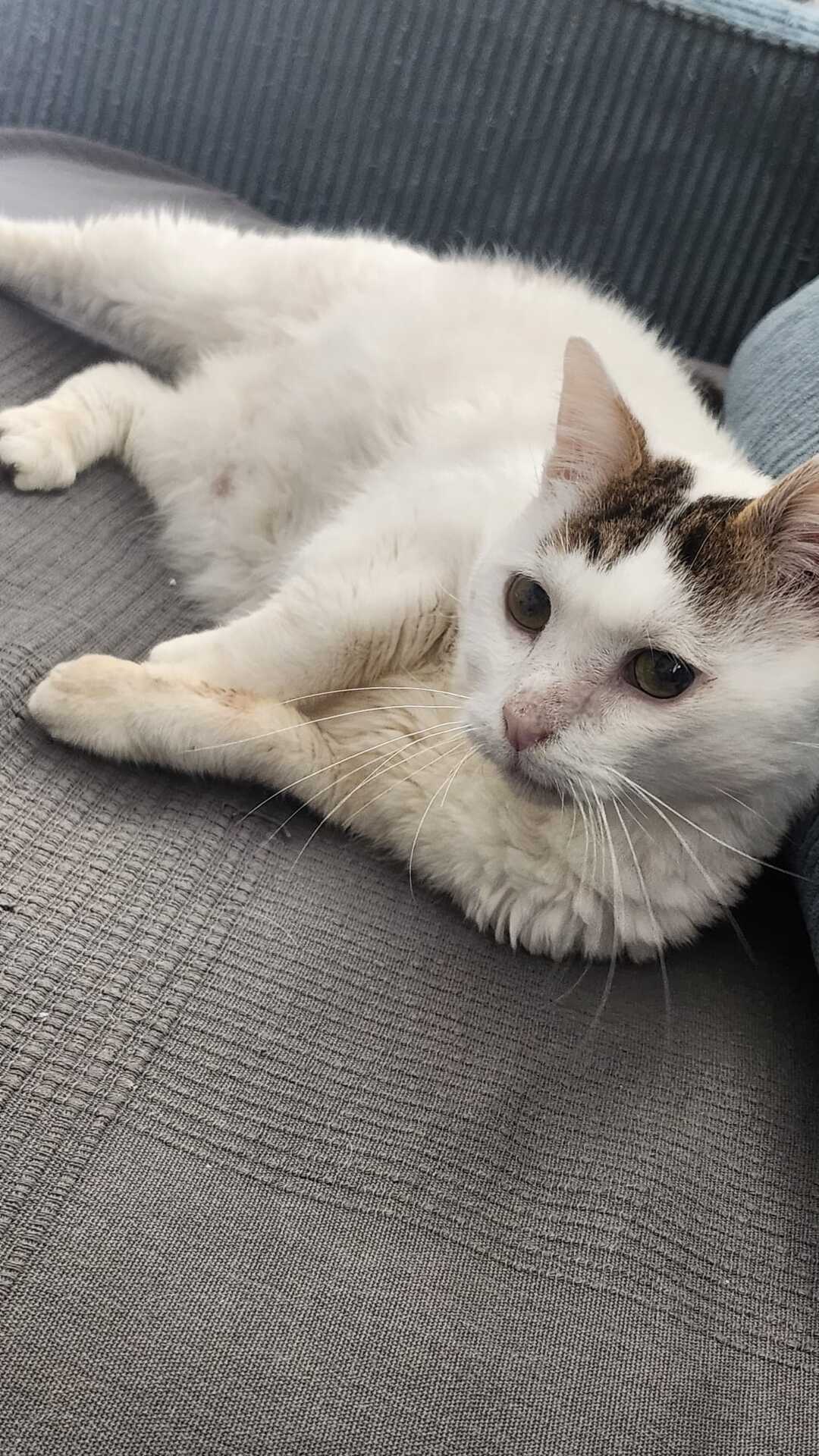 Adopter Nuage