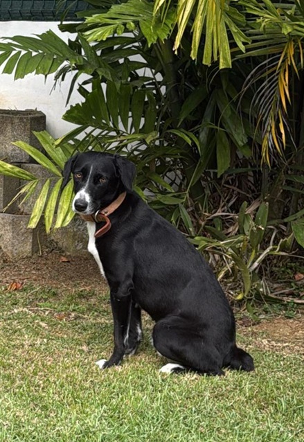 Adopter Tiana