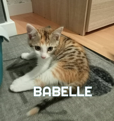 Adopter Babelle