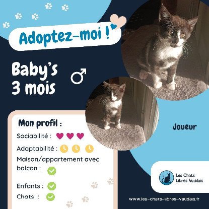 Adopter Baby's
