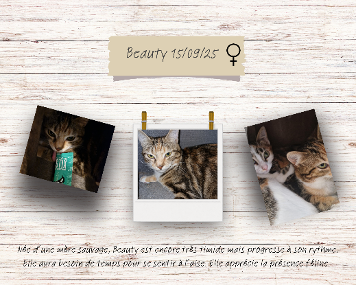 Adopter Beauty