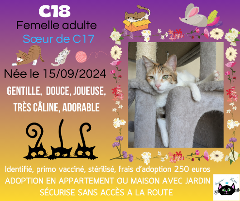 Adopter C18