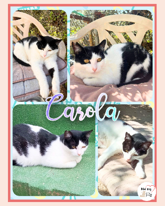 Adopter Carola