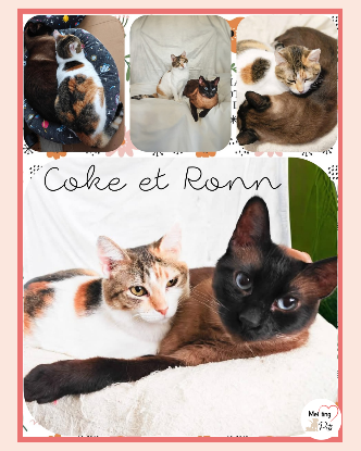 Adopter Coke & ron