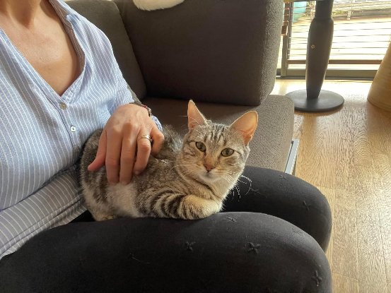 Adopter Dhairya