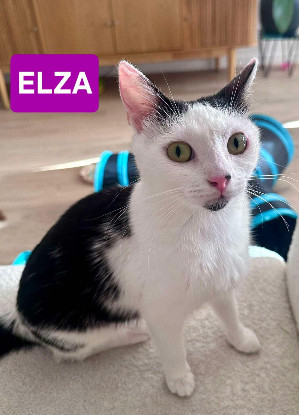 Adopter Elza