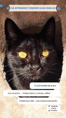 Adoption Fleur