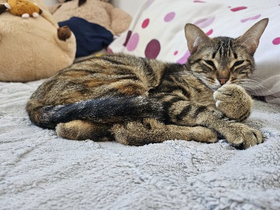 Adopter Grace et elvira