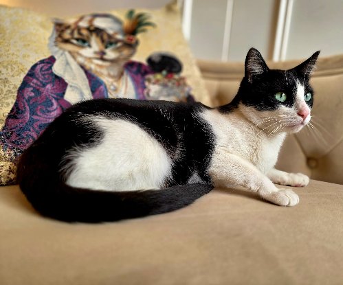 Adopter Maroussia
