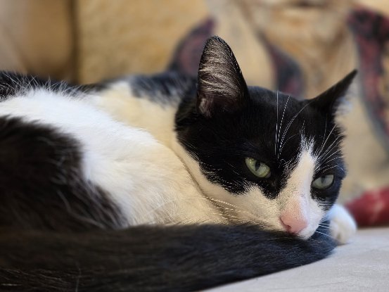 Adoption Maroussia
