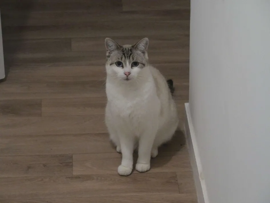 Adopter Mielle