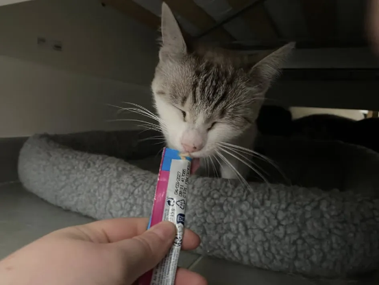Adopter Mielle