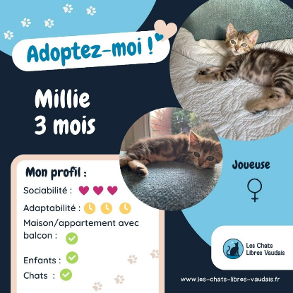 Adopter Millie