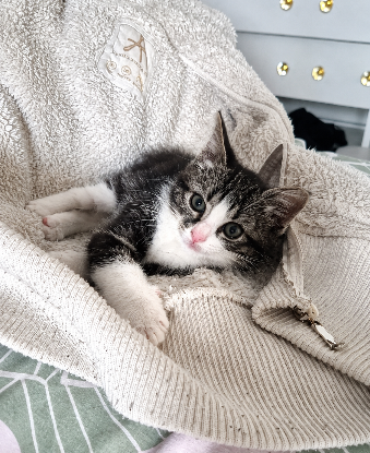 Adopter Nina