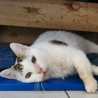 Adopter Nuage