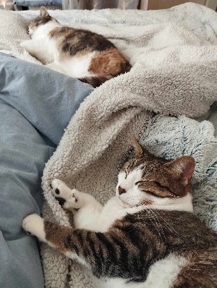 Adopter Oksana