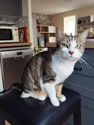 Adopter Oksana