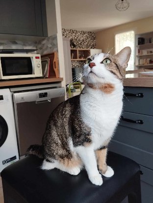 Adoption Oksana