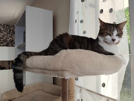 Adoption Oksana